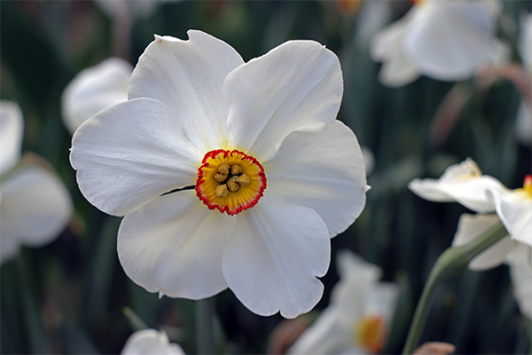 Imagen Naturaleza 29