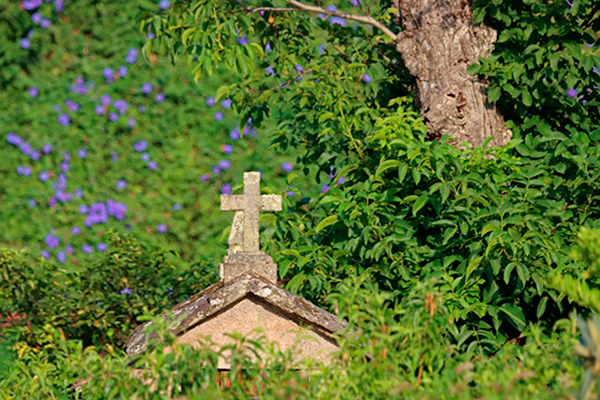 Imagen Cultura 03