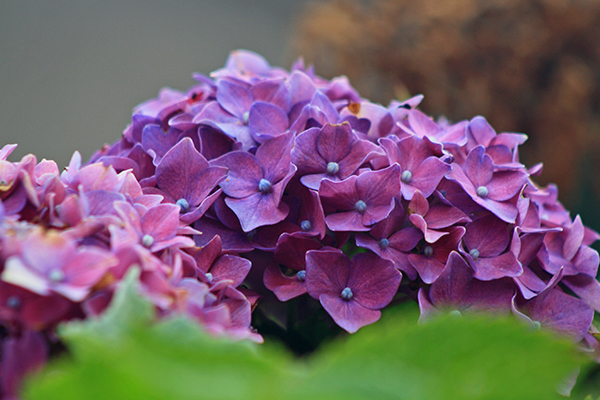 Imagen Naturaleza 14