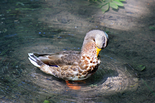 Imagen Naturaleza 18